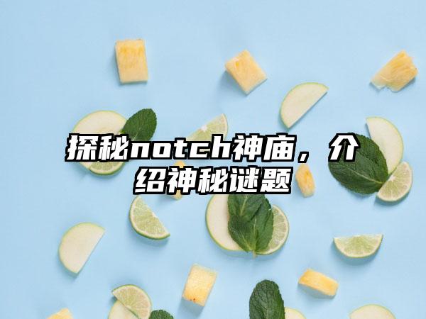 探秘notch神庙，介绍神秘谜题