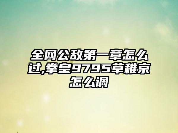 全网公敌第一章怎么过,拳皇9795草稚京怎么调