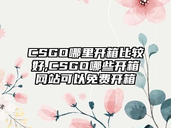 CSGO哪里开箱比较好,CSGO哪些开箱网站可以免费开箱