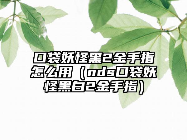 口袋妖怪黑2金手指怎么用（nds口袋妖怪黑白2金手指）