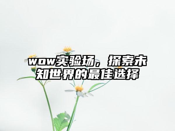 wow实验场，探索未知世界的最佳选择
