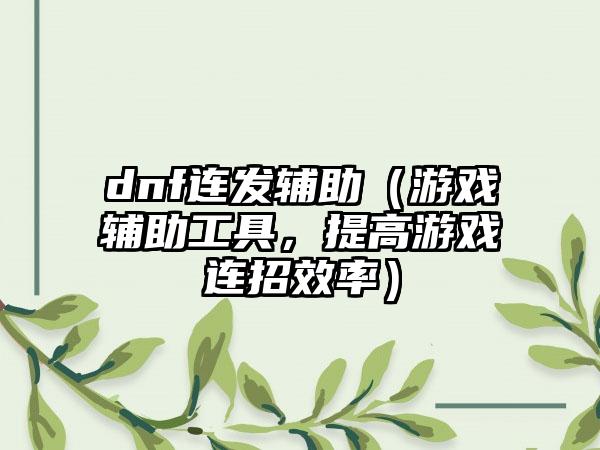 dnf连发辅助（游戏辅助工具，提高游戏连招效率）