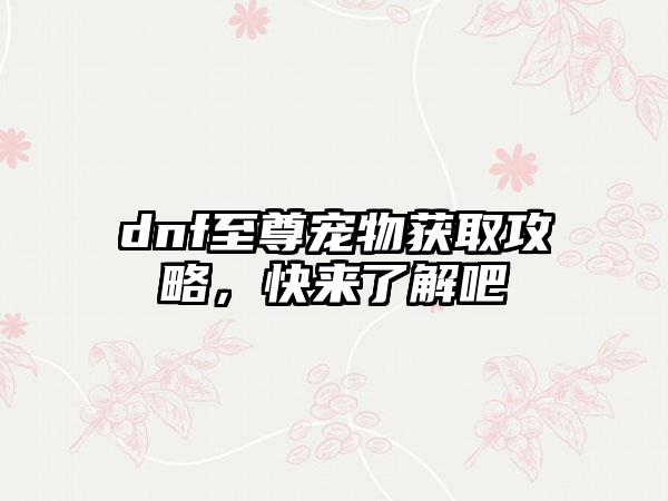 dnf至尊宠物获取攻略，快来了解吧