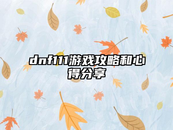 dnf111游戏攻略和心得分享