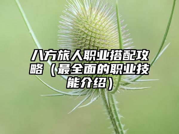 八方旅人职业搭配攻略（最全面的职业技能介绍）