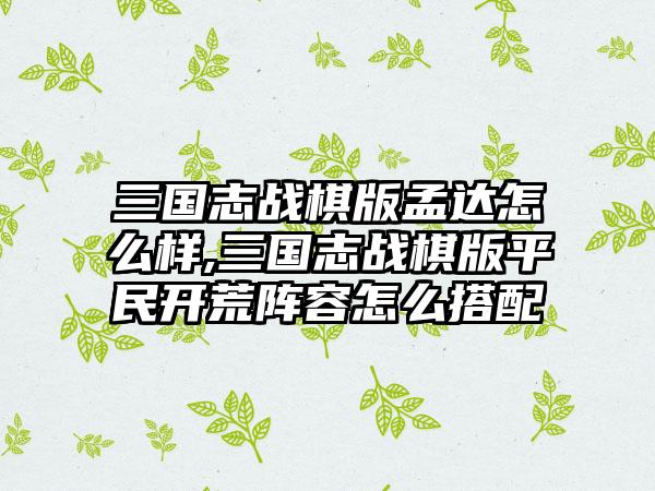 三国志战棋版孟达怎么样,三国志战棋版平民开荒阵容怎么搭配