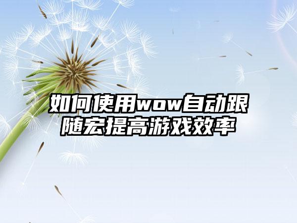 如何使用wow自动跟随宏提高游戏效率