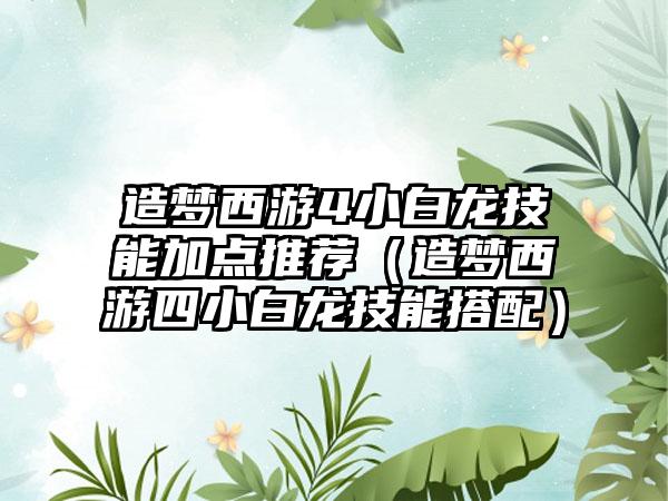 造梦西游4小白龙技能加点推荐（造梦西游四小白龙技能搭配）