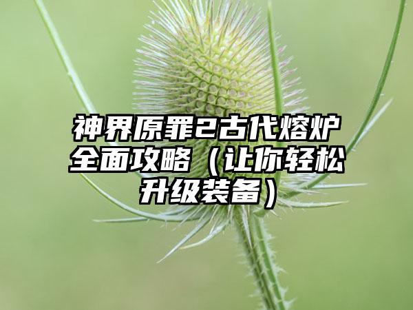 神界原罪2古代熔炉全面攻略（让你轻松升级装备）