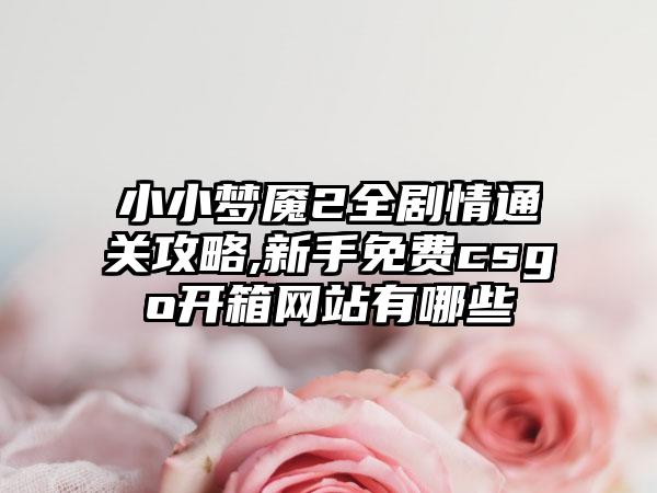 小小梦魇2全剧情通关攻略,新手免费csgo开箱网站有哪些