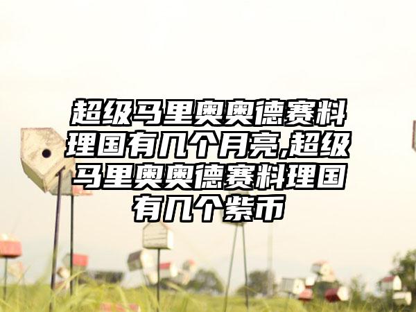 超级马里奥奥德赛料理国有几个月亮,超级马里奥奥德赛料理国有几个紫币