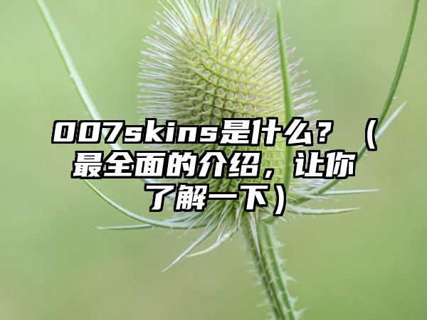 007skins是什么？（最全面的介绍，让你了解一下）