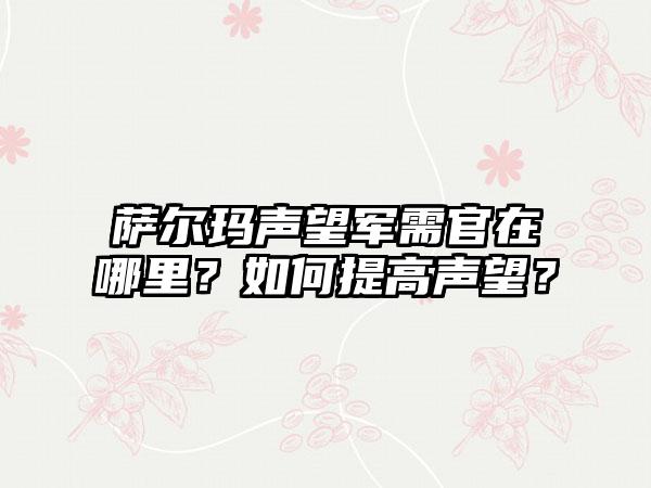 萨尔玛声望军需官在哪里？如何提高声望？