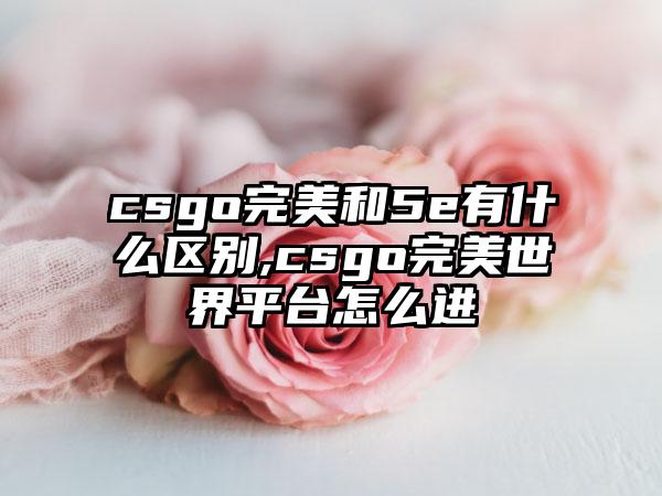 csgo完美和5e有什么区别,csgo完美世界平台怎么进