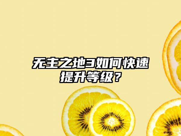 无主之地3如何快速提升等级？