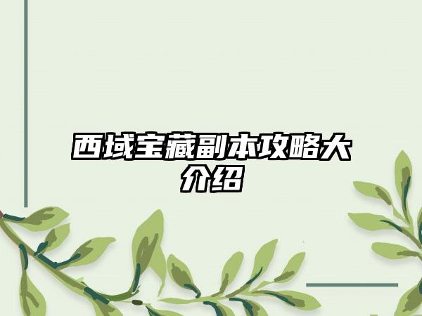 西域宝藏副本攻略大介绍