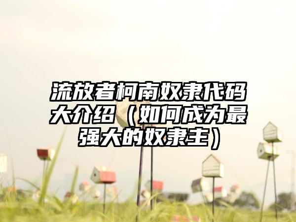 流放者柯南奴隶代码大介绍（如何成为最强大的奴隶主）