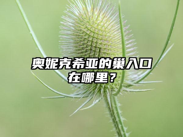 奥妮克希亚的巢入口在哪里？