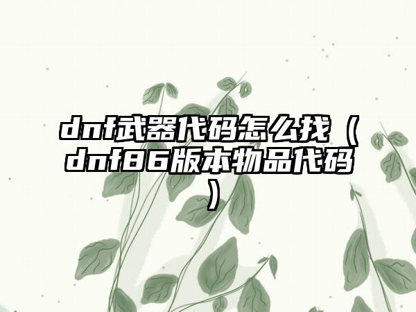 dnf武器代码怎么找（dnf86版本物品代码）