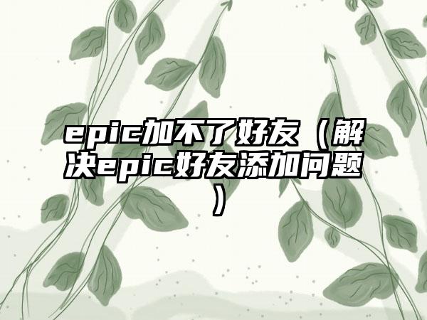 epic加不了好友（解决epic好友添加问题）