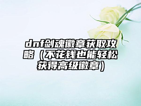 dnf剑魂徽章获取攻略（不花钱也能轻松获得高级徽章）