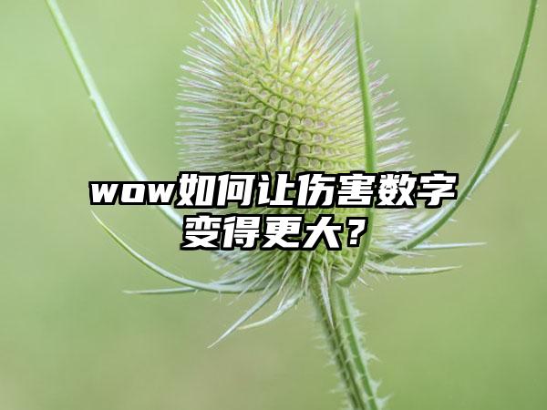 wow如何让伤害数字变得更大？