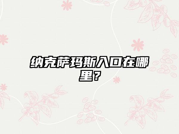 纳克萨玛斯入口在哪里？