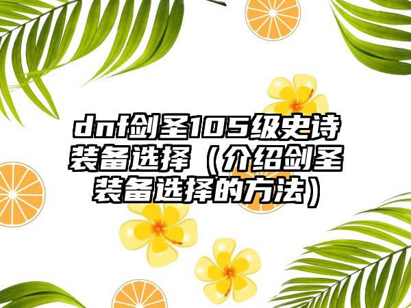 dnf剑圣105级史诗装备选择（介绍剑圣装备选择的方法）