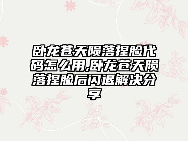 卧龙苍天陨落捏脸代码怎么用,卧龙苍天陨落捏脸后闪退解决分享