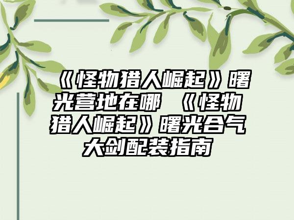 《怪物猎人崛起》曙光营地在哪 《怪物猎人崛起》曙光合气大剑配装指南