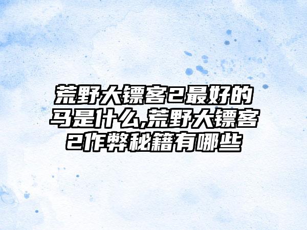 荒野大镖客2最好的马是什么,荒野大镖客2作弊秘籍有哪些