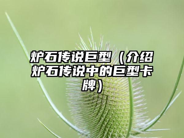 炉石传说巨型（介绍炉石传说中的巨型卡牌）