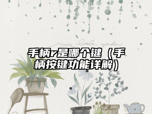 手柄r是哪个键（手柄按键功能详解）