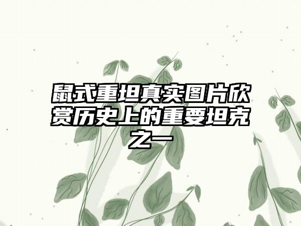 鼠式重坦真实图片欣赏历史上的重要坦克之一