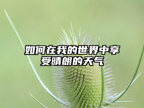 如何在我的世界中享受晴朗的天气
