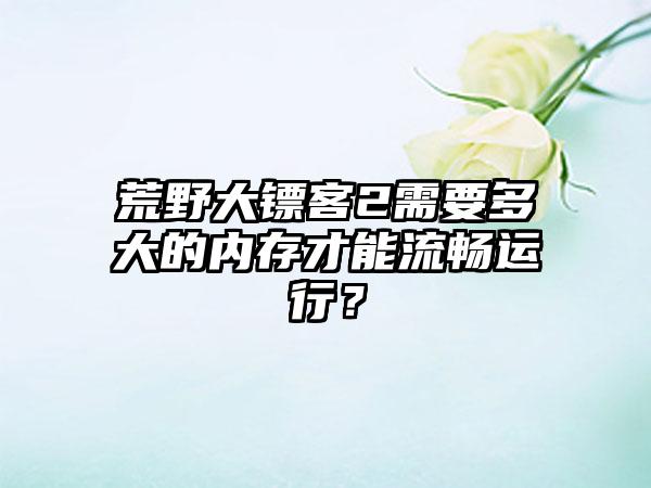 荒野大镖客2需要多大的内存才能流畅运行？