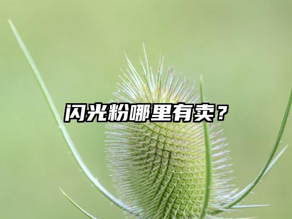 闪光粉哪里有卖？