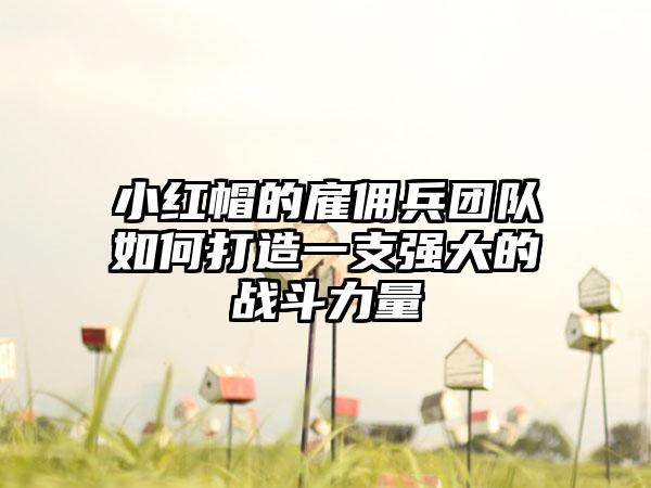 小红帽的雇佣兵团队如何打造一支强大的战斗力量