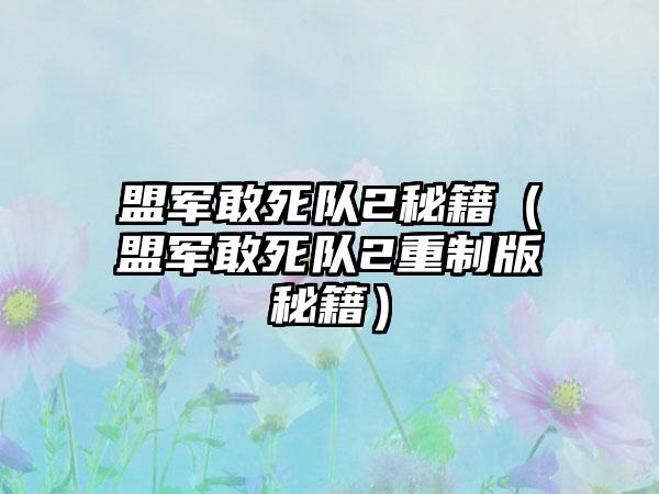 盟军敢死队2秘籍（盟军敢死队2重制版秘籍）