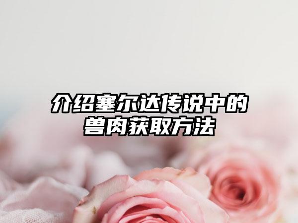 介绍塞尔达传说中的兽肉获取方法