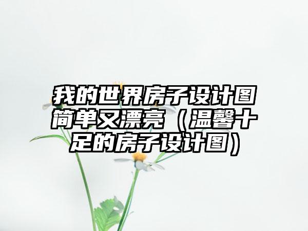我的世界房子设计图简单又漂亮（温馨十足的房子设计图）