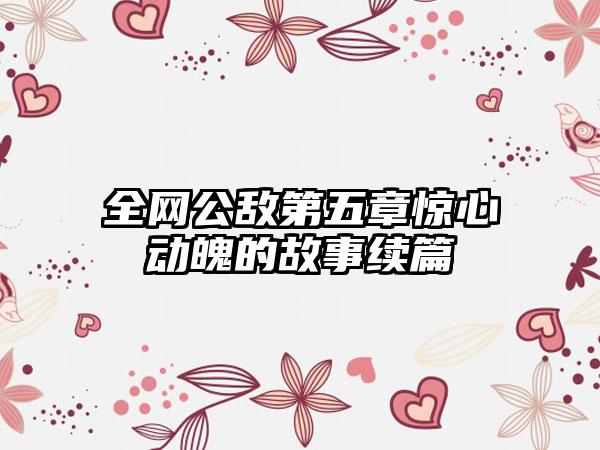 全网公敌第五章惊心动魄的故事续篇