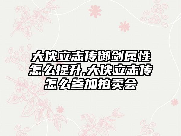 大侠立志传御剑属性怎么提升,大侠立志传怎么参加拍卖会