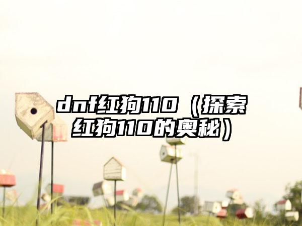 dnf红狗110（探索红狗110的奥秘）