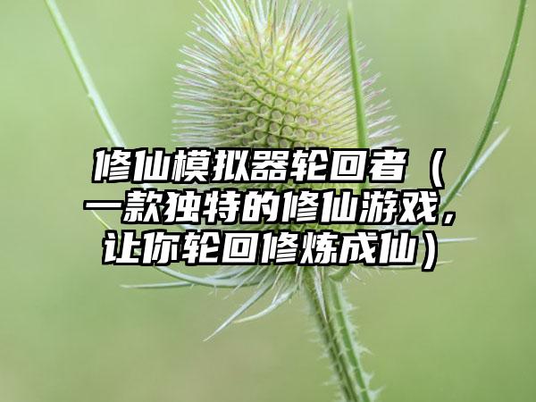 修仙模拟器轮回者（一款独特的修仙游戏，让你轮回修炼成仙）