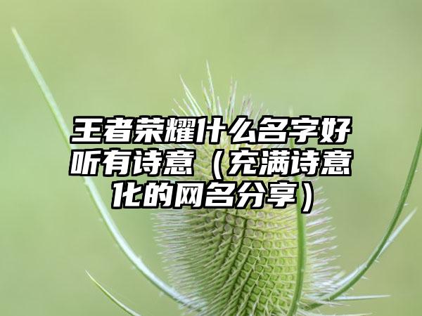 王者荣耀什么名字好听有诗意（充满诗意化的网名分享）
