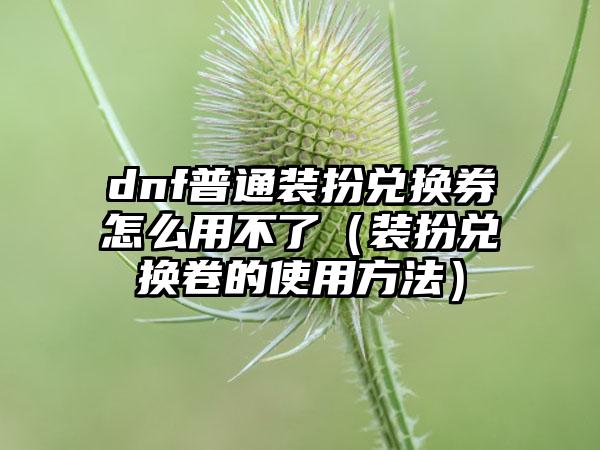dnf普通装扮兑换券怎么用不了（装扮兑换卷的使用方法）