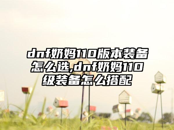 dnf奶妈110版本装备怎么选,dnf奶妈110级装备怎么搭配