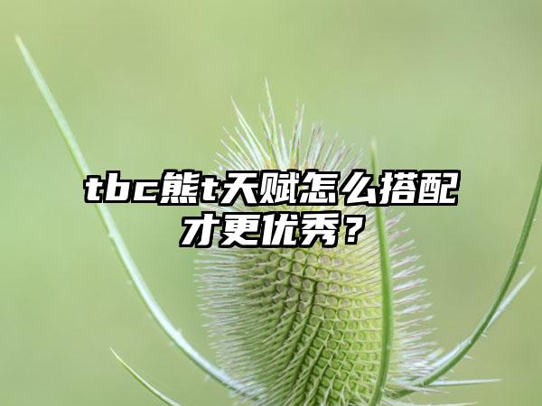 tbc熊t天赋怎么搭配才更优秀？