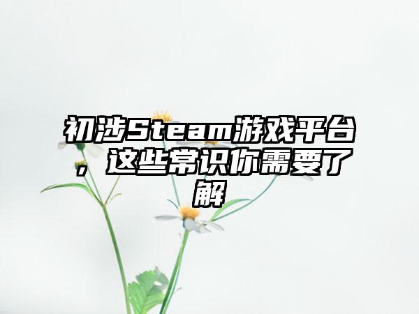初涉Steam游戏平台，这些常识你需要了解